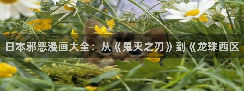 歪韩漫