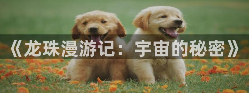 韩漫漫画全集免费阅读：《龙珠漫游记：宇宙的秘密》