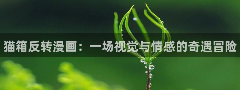 韩漫恋爱漫画：猫箱反转漫画：一场视觉与情感的奇遇冒险